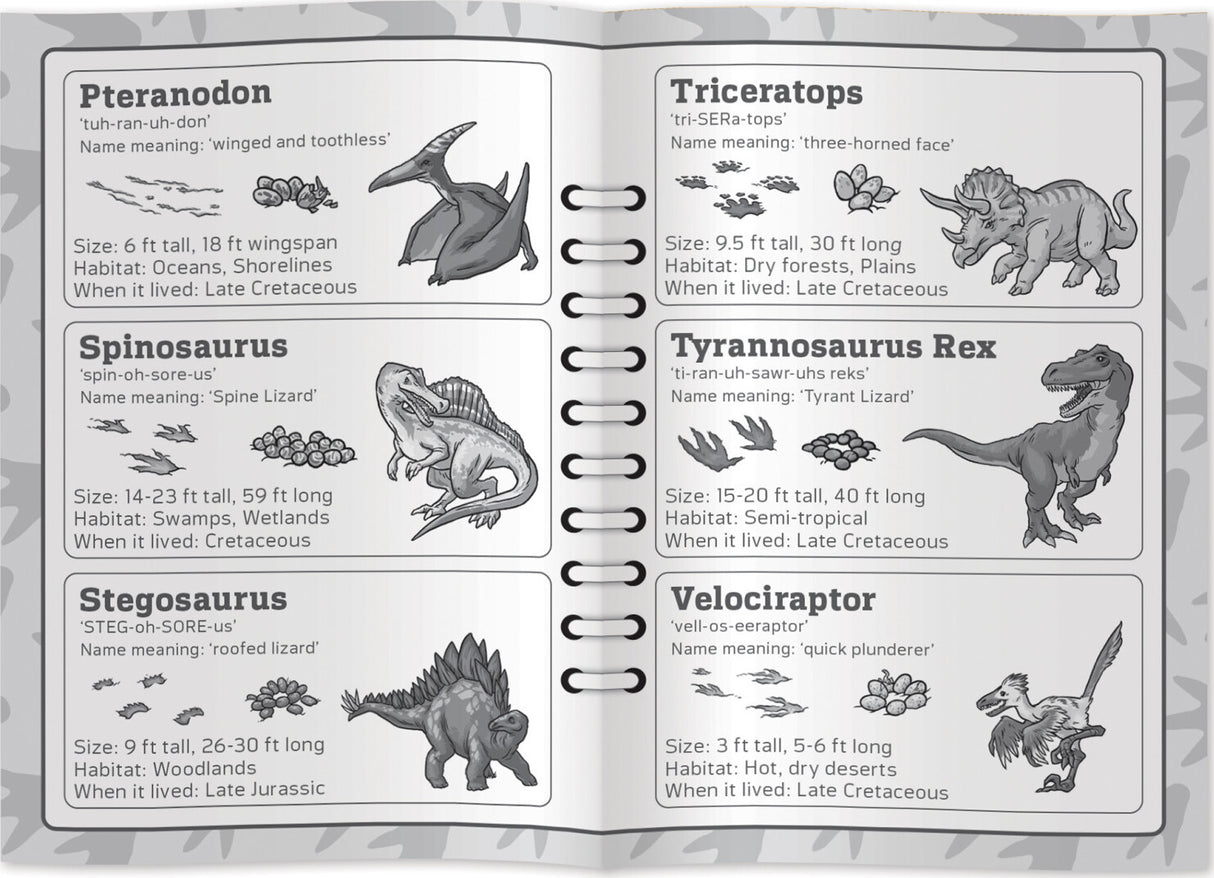 National Parks Jr Ranger - Dino Tracks Card Game