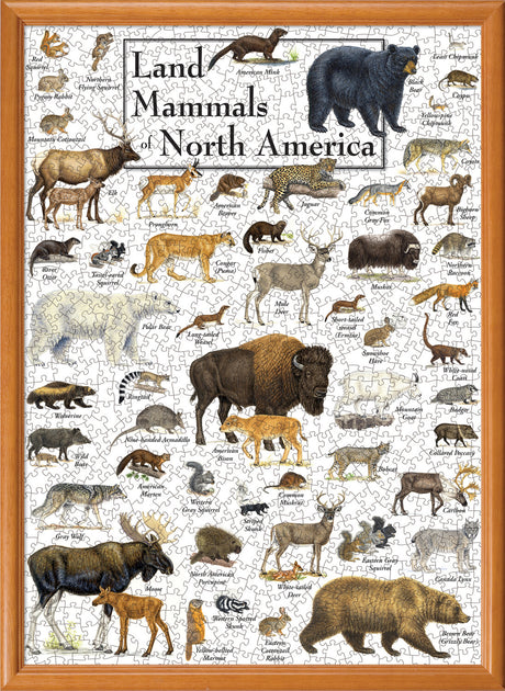 Field Guide - Land Mammals of North America 1000 Piece Puzzle