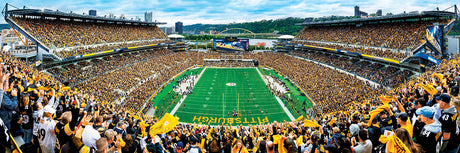 Pittsburgh Steelers NFL 1000pc Panoramic Puzzle - End Zone