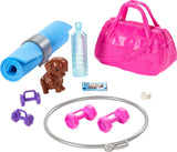 Barbie Doll And Accessories  (assorted) - Doll And Accessories Assortment