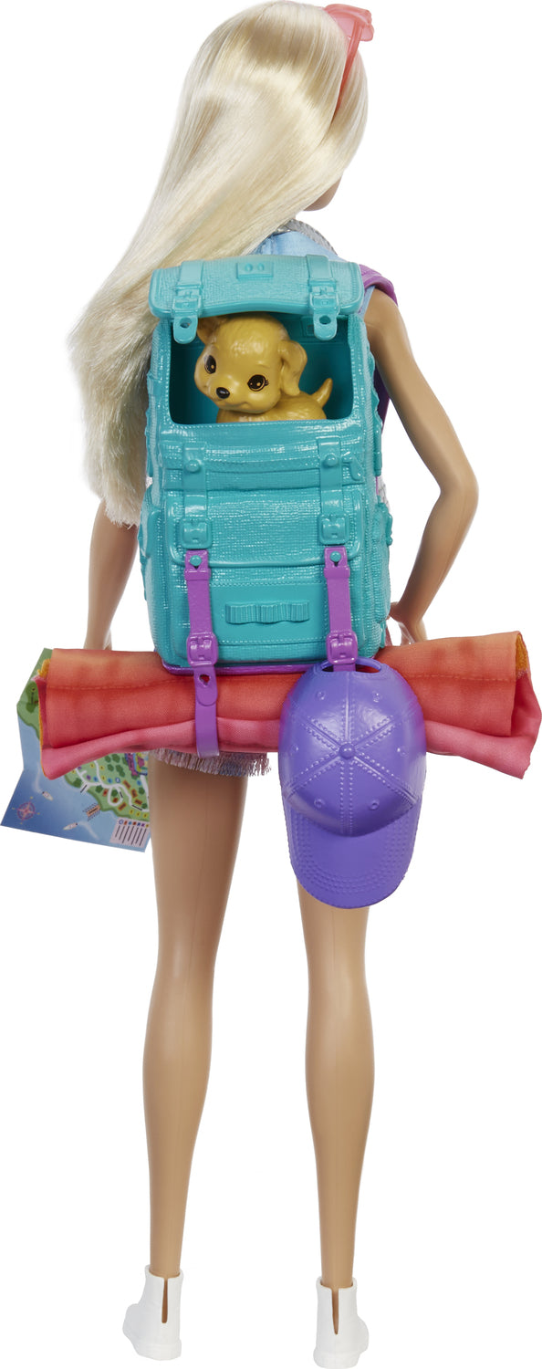 Barbie Doll And Accessories - HDF73