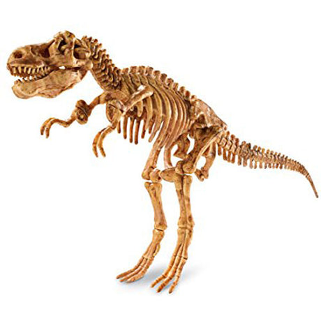 Dig It Up!: Tyrannosaurus Rex