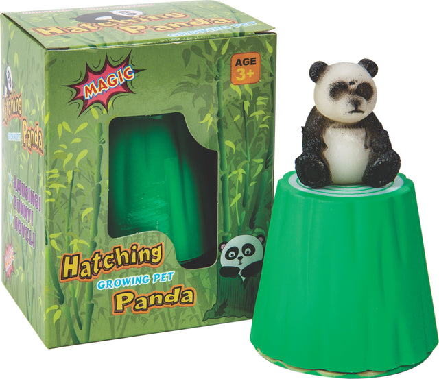 Hatching Panda