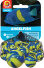 Marbles - Angelfish