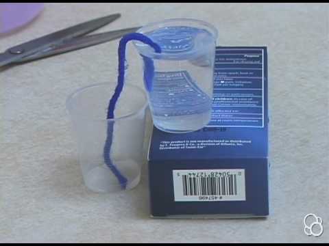Kids First: Stepping into Science