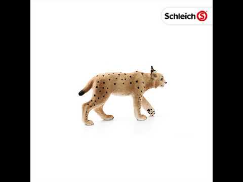 Lynx - Schleich