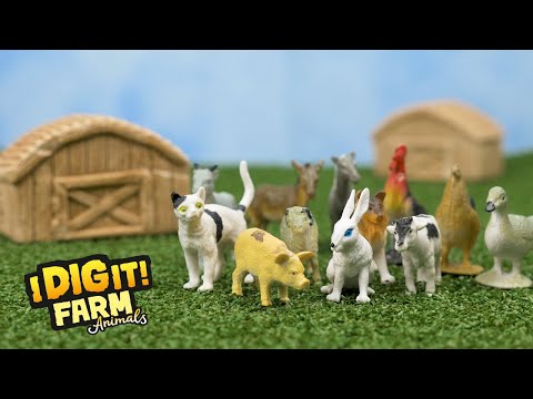 I Dig It! Farm Animals asst (Styles May Vary)