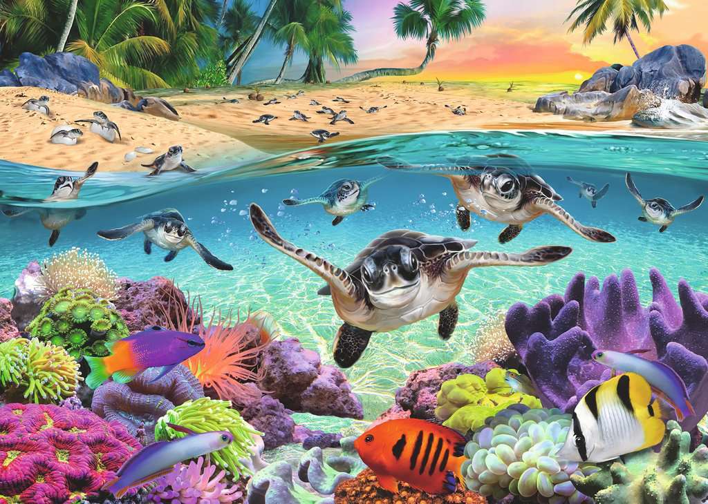 Race of the Baby Sea Turtles (500 pc Large Format)