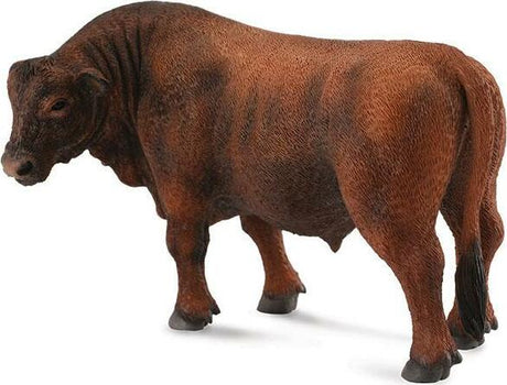 Red Angus Bull