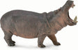 Hippopotamus