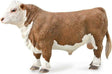 Hereford Bull