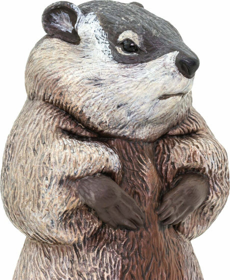 Groundhog Toy