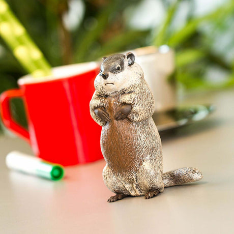 Groundhog Toy
