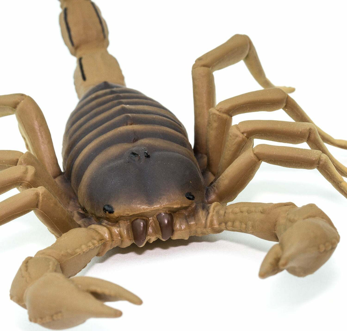 Scorpion Toy