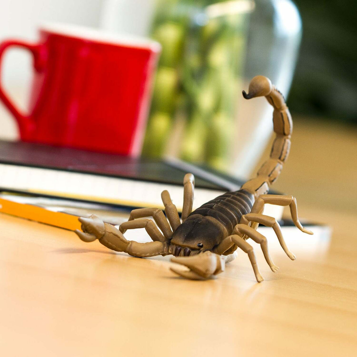 Scorpion Toy