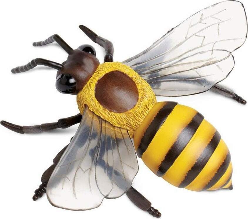 Honey Bee Toy