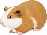 Guinea Pig