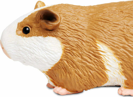 Guinea Pig