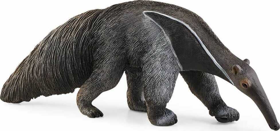 Anteater