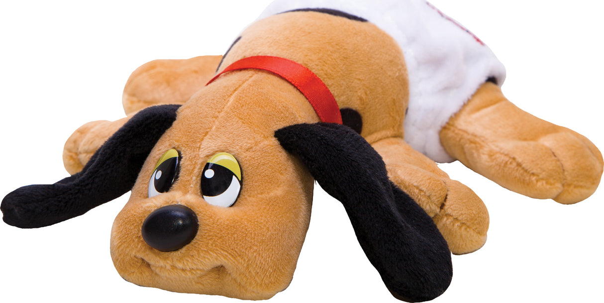 Pound Puppies Newborn (assorted)