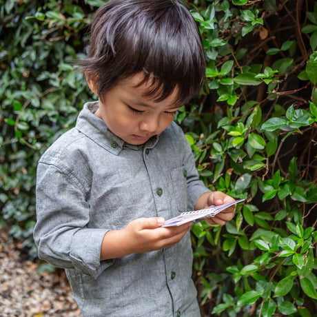 Tiger Tribe Bug Spotter Kit