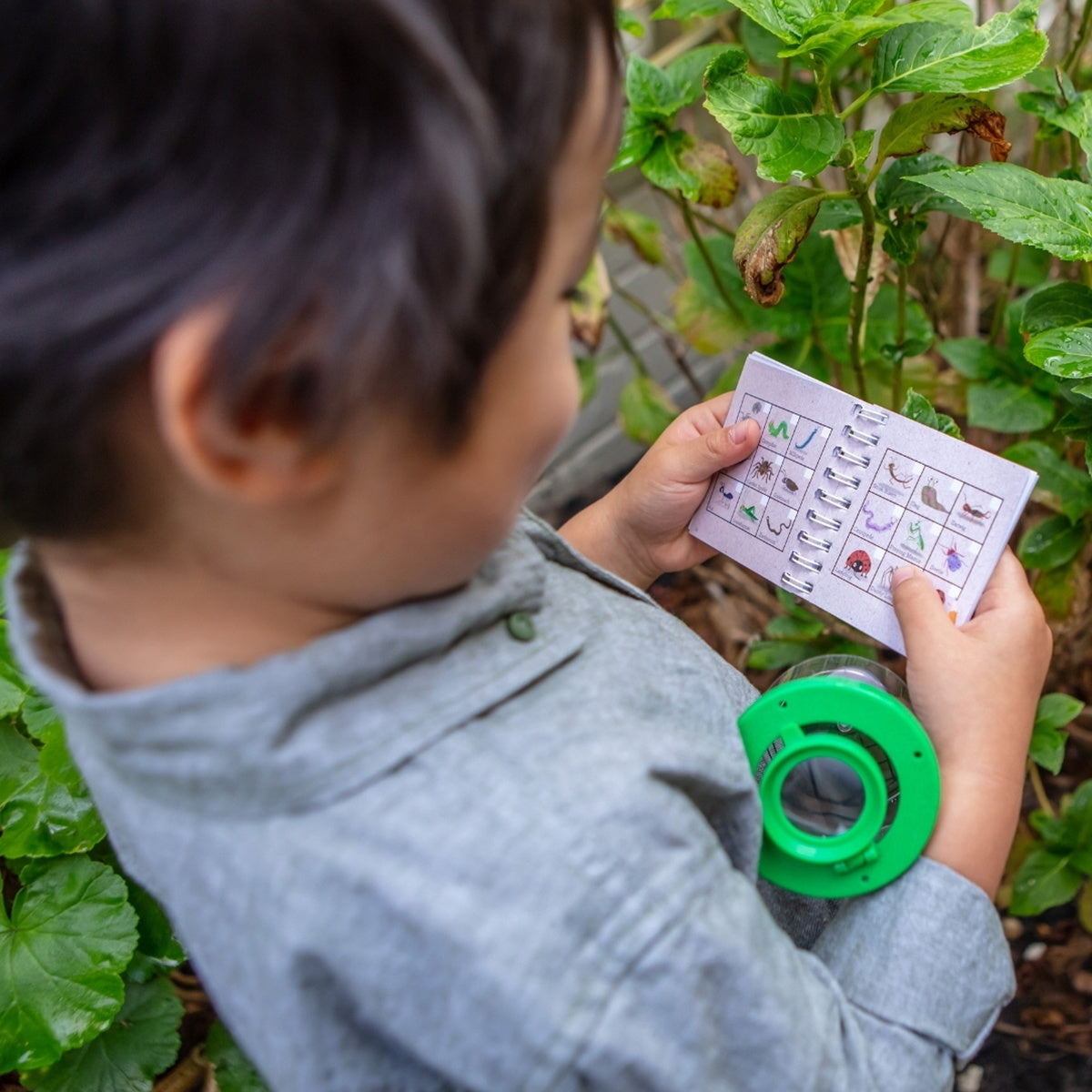 Tiger Tribe Bug Spotter Kit