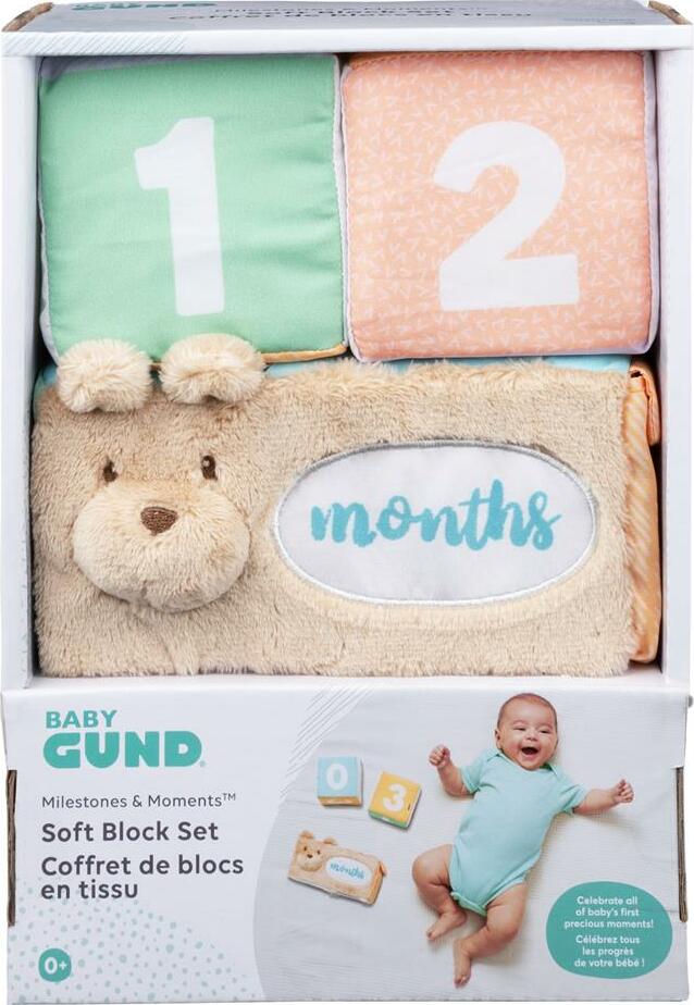 Milestones and Moments Block Set