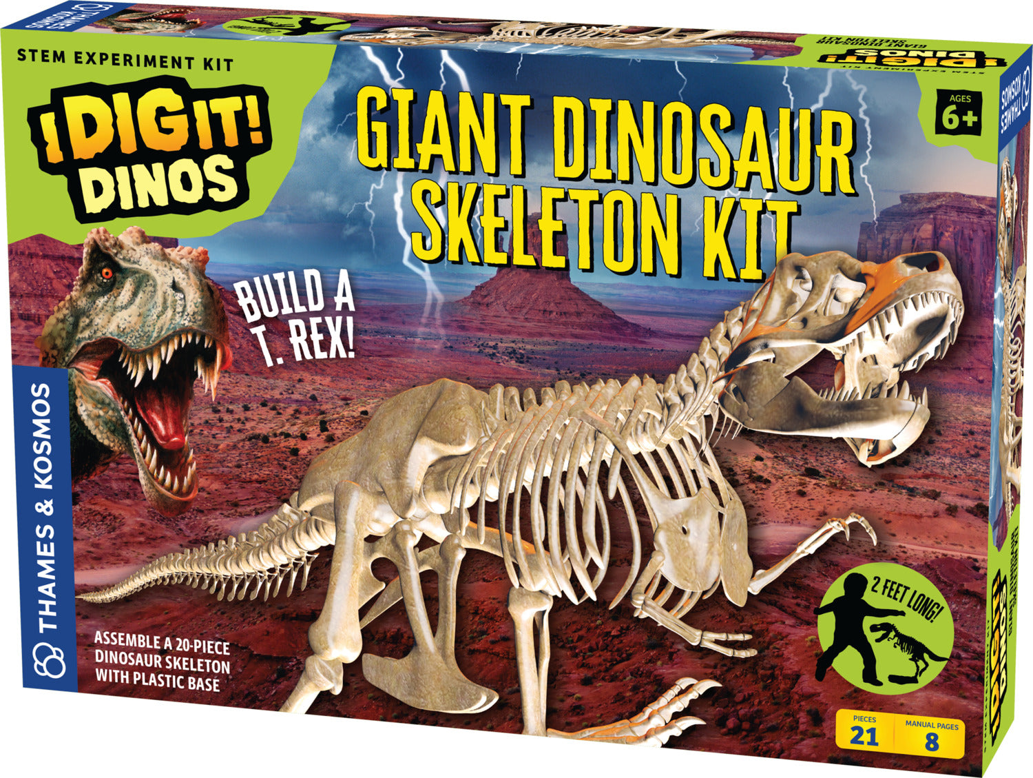 I Dig It! Dinos - Giant Dinosaur: T. Rex Skeleton Model – Toys on