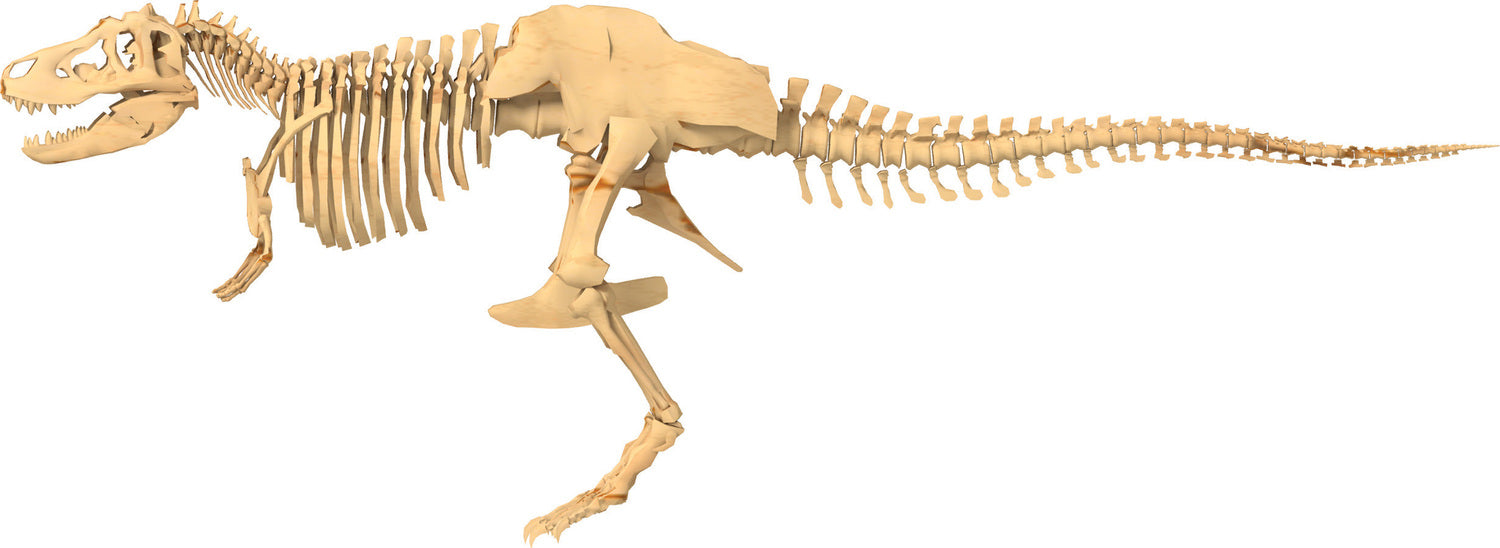 I Dig It! Dinos - Giant Dinosaur: T. Rex Skeleton Model – Toys on