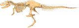 Giant Dinosaur Skeleton Kit