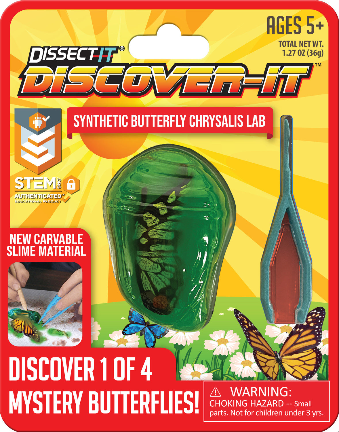 Dissect-It Discover-It Butterfly Chrysalis