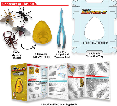 Dissect-It Discover-It Ancient Amber Lab