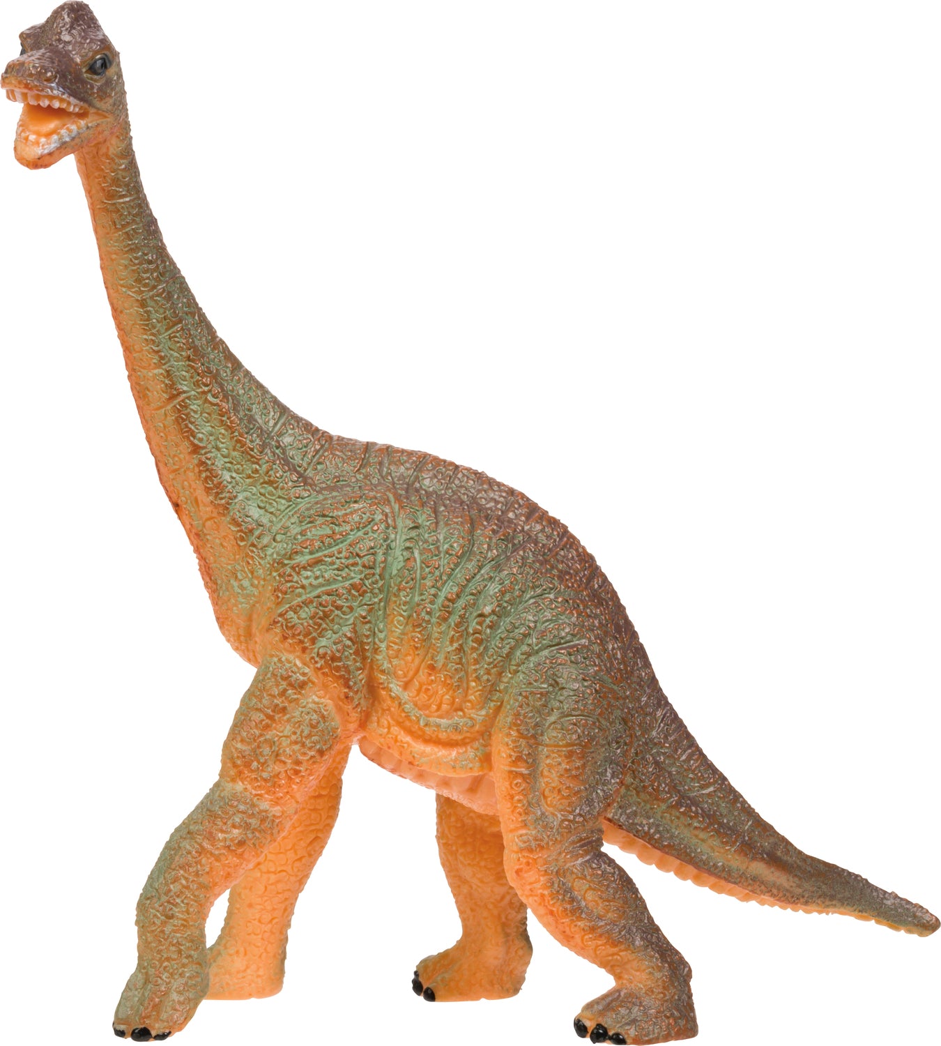 dino です Amazon.com : Dino #1, DM301 : Sports & Outdoors