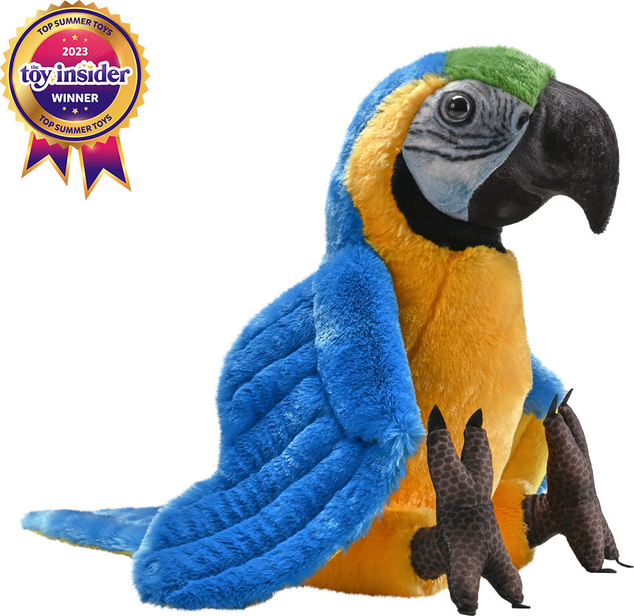 Artist Collection - Blue Yellow Macaw