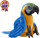 Artist Collection - Blue Yellow Macaw