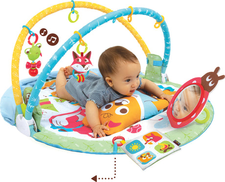 Play  N  Nap Gymotion