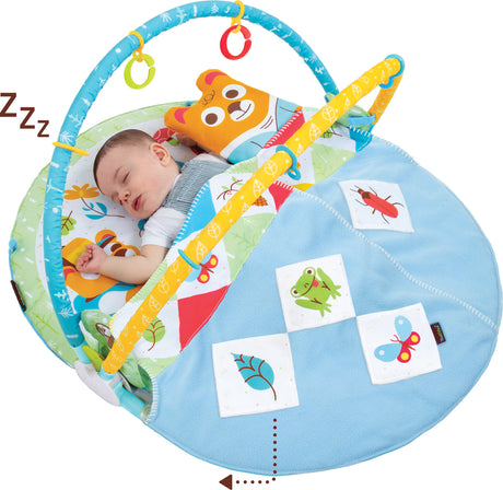 Play  N  Nap Gymotion